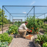 Walk-In Fruit and Vegetable Cage with Steel Frame for Garden Use