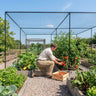 Walk-In Fruit & Vegetable Cage – 2m x 2m – Steel Frame – Garden Use
