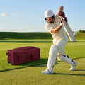 Cricket Players Set with protective gear and bag - product detail