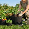 Fabric grow bags in various sizes for versatile gardening