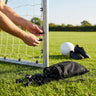 Football Net Clips – Various Pack Sizes – Durable Plastic – Goal Securement