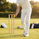 Cricket Swing Ball for Training