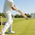 Handcrafted Kashmir Willow Cricket Bat for Beginners