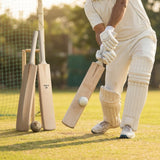 Cricket training bat crafted from Kashmir Willow, available in three sizes - product detail