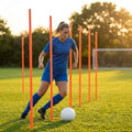 Slalom training poles in vibrant colours for agility training