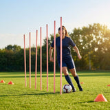 Slalom training poles in vibrant colours for agility training