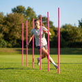 Slalom training poles in vibrant colours for sports practice