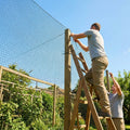 19mm black bird netting made from high-density polyethylene for garden and industrial use