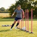 Slalom training poles in vibrant colours for agility training