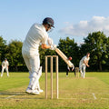 Wooden cricket stumps for competitive cricket with carry bag
