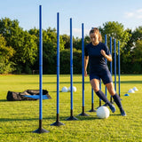 Slalom training poles in vibrant colours for agility training