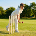Wooden cricket stumps for competitive cricket with carry bag
