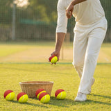 Cricket Swing Ball for Training