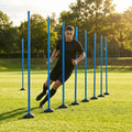Slalom training poles in vibrant colours for agility training