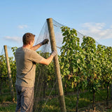 28mm bird netting in black for gardens and industrial use