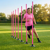 Slalom training poles in vibrant colours for agility training