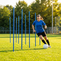 Slalom training poles in vibrant colours for agility training