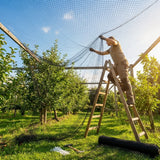 19mm black bird netting made from high-density polyethylene for garden and industrial use