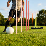 Slalom training poles in vibrant colours for agility training