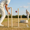 Wooden cricket stumps for competitive cricket with carry bag