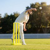 Plastic Cricket Stumps in vibrant yellow with base and bails