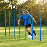 Slalom training poles in vibrant colours for agility training