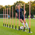 Slalom training poles in vibrant colours for agility training