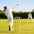 Wooden cricket stumps for competitive cricket with carry bag
