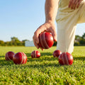 Technique Cricket Ball with raised seam and double flat-sided design