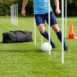 Slalom training poles in vibrant colours for agility training