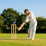 Wooden cricket stumps for competitive cricket with carry bag