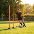 Slalom training poles in vibrant colours for agility training