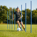 Slalom training poles in vibrant colours for sports practice