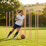 Slalom training poles in vibrant colours for agility training