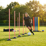 Slalom training poles in vibrant colours for agility training